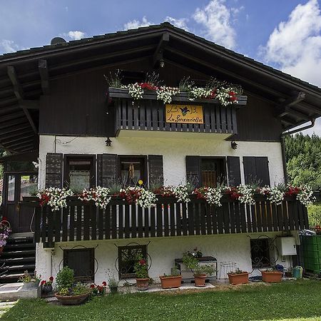 B&B La Genzianella Perarolo di Cadore Dış mekan fotoğraf