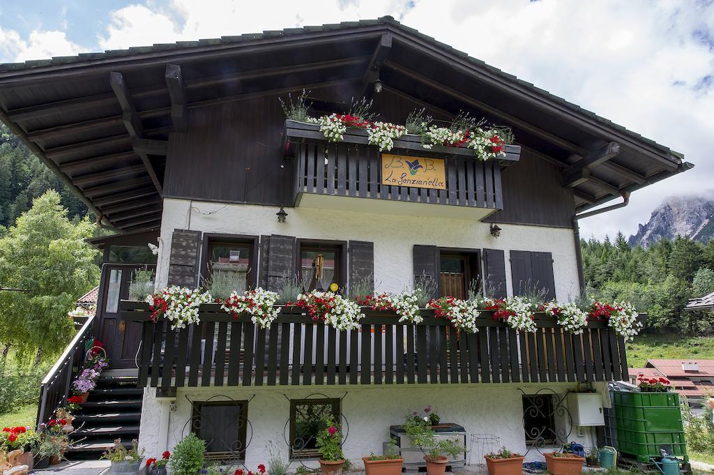 B&B La Genzianella Perarolo di Cadore Dış mekan fotoğraf