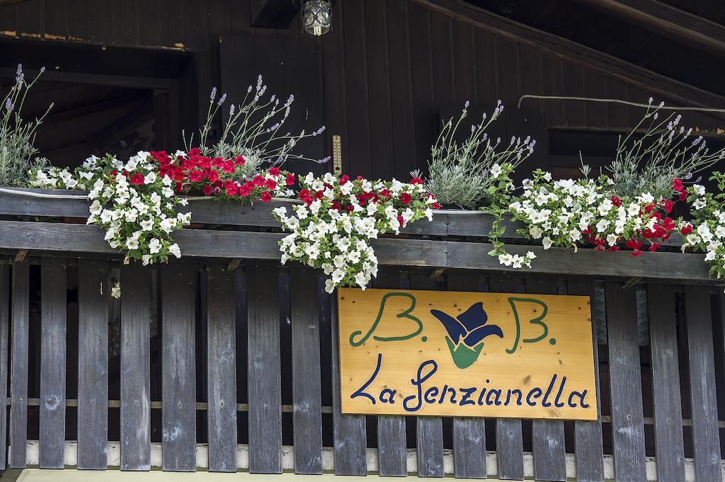 B&B La Genzianella Perarolo di Cadore Dış mekan fotoğraf