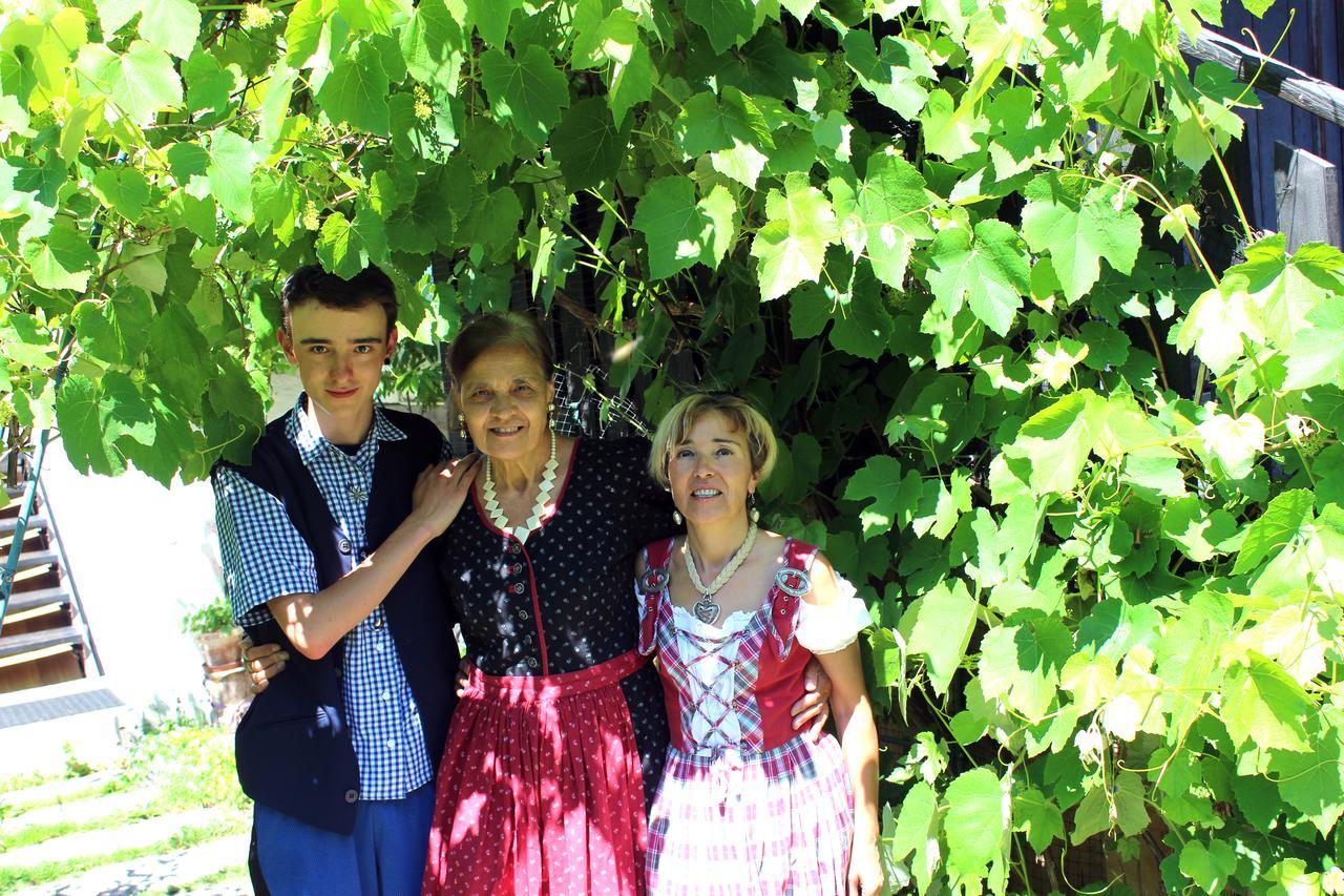 B&B La Genzianella Perarolo di Cadore Dış mekan fotoğraf